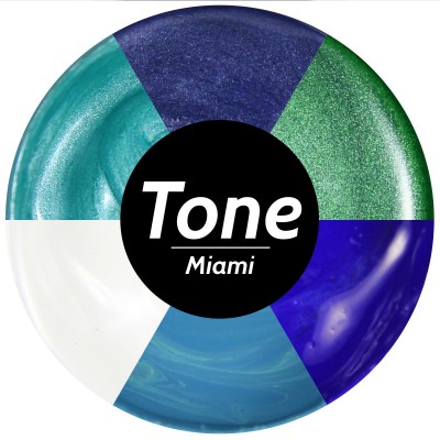 Tone Miami Epoksi Pigment Seti 6x25 ml