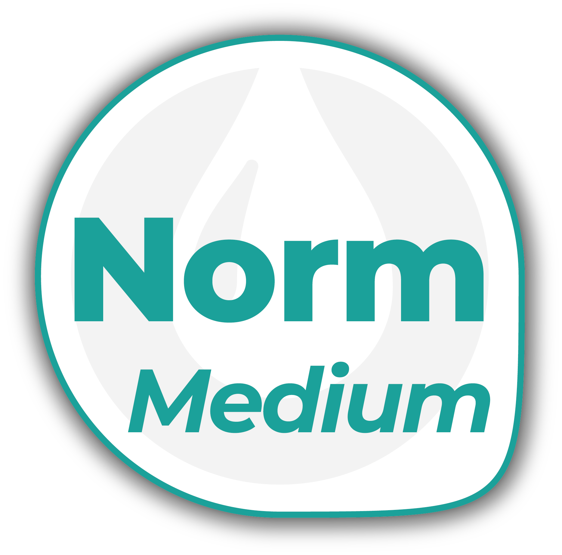 Resinin Norm Medium Logo